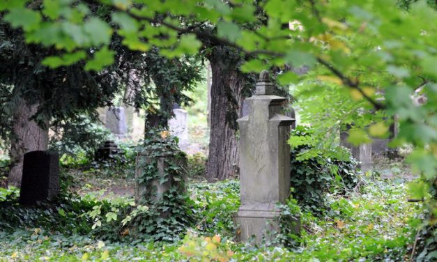 Tag des offenen Denkmals: Alter Friedhof geöffnet