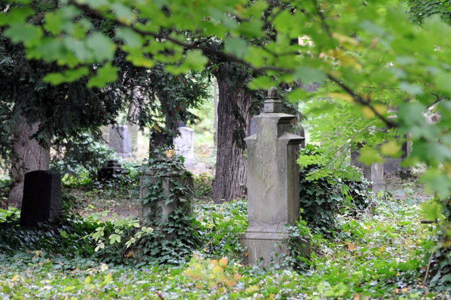 Tag des offenen Denkmals: Alter Friedhof geöffnet